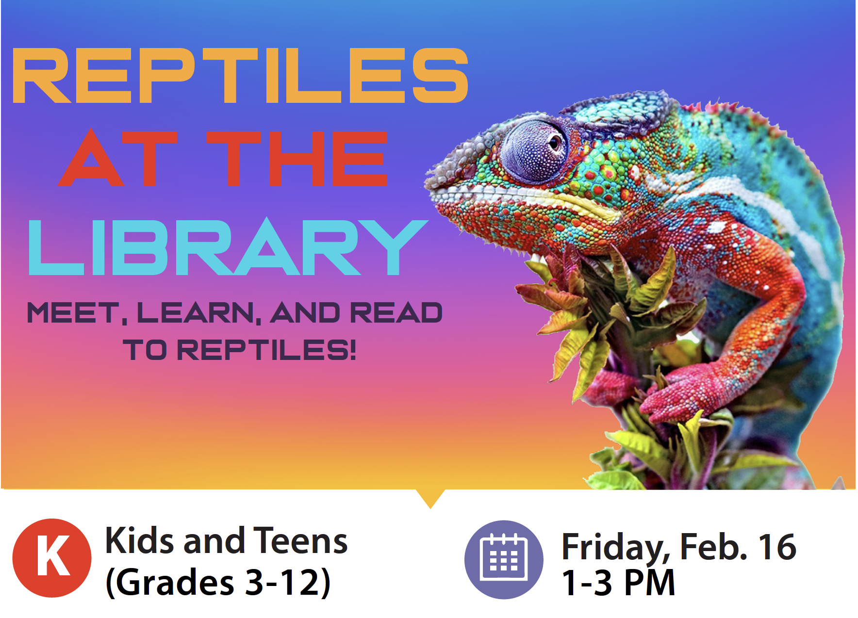 Reptiles (and amphibians) visit the public library!
