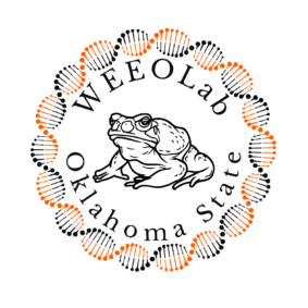 WEEOLab undergraduates present their research!